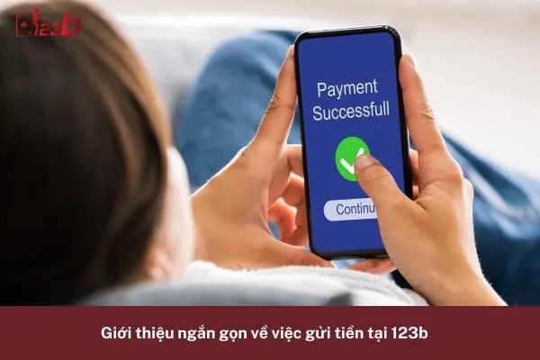 Hỏi Về Các Phương Thức Gửi Tiền 123b 2 Các Phương Thức Gửi Tiền 123b